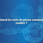 Question : Quand les noix de pécan commencent-elles à tomber ?